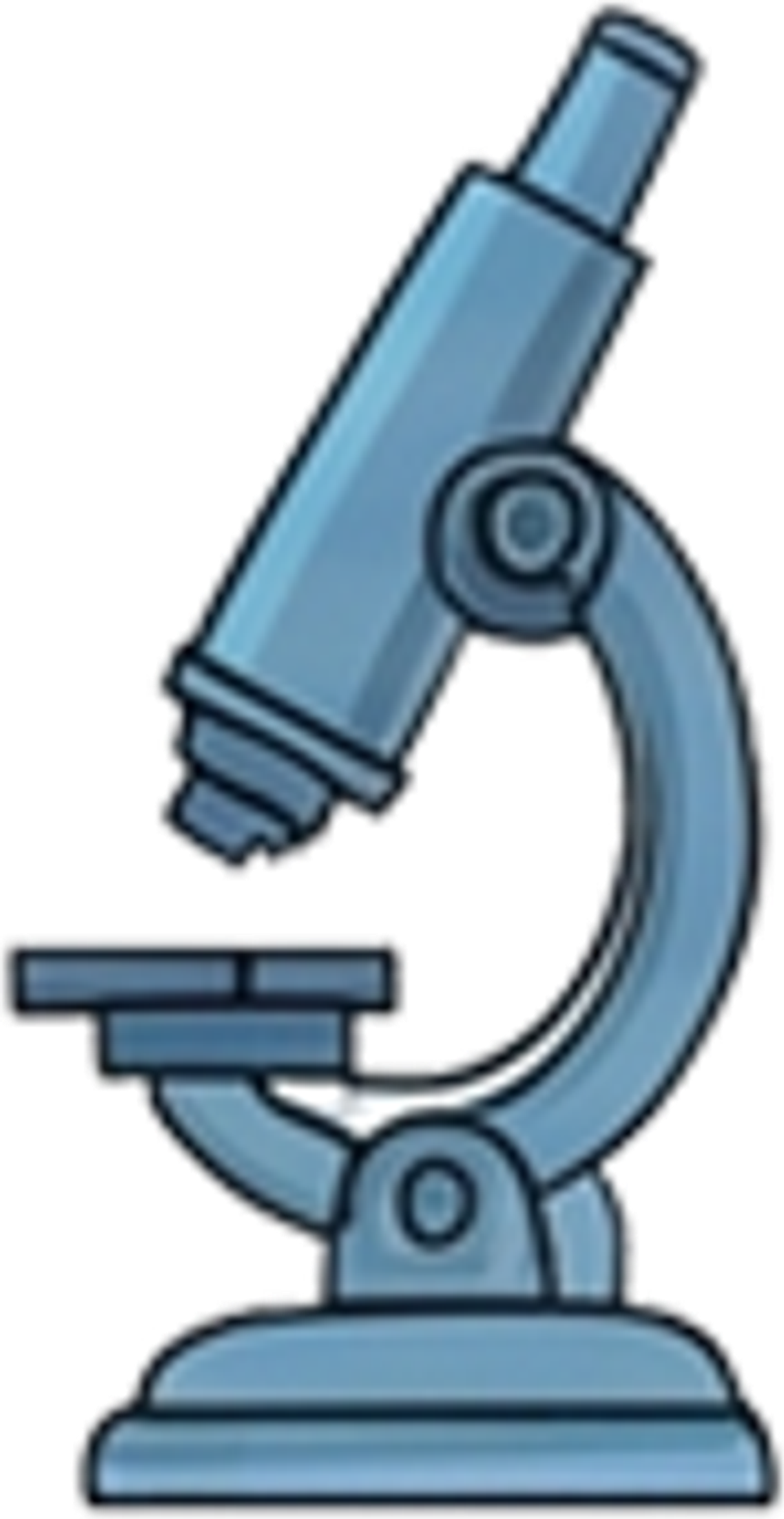 Educational decorative illustration (direita)